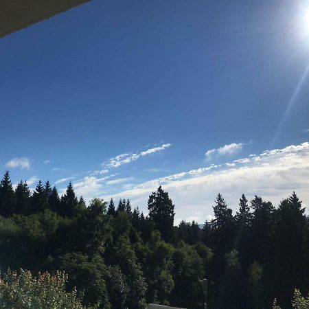 Hahnenklee Ferienpark 1-411 Goslar Exteriör bild