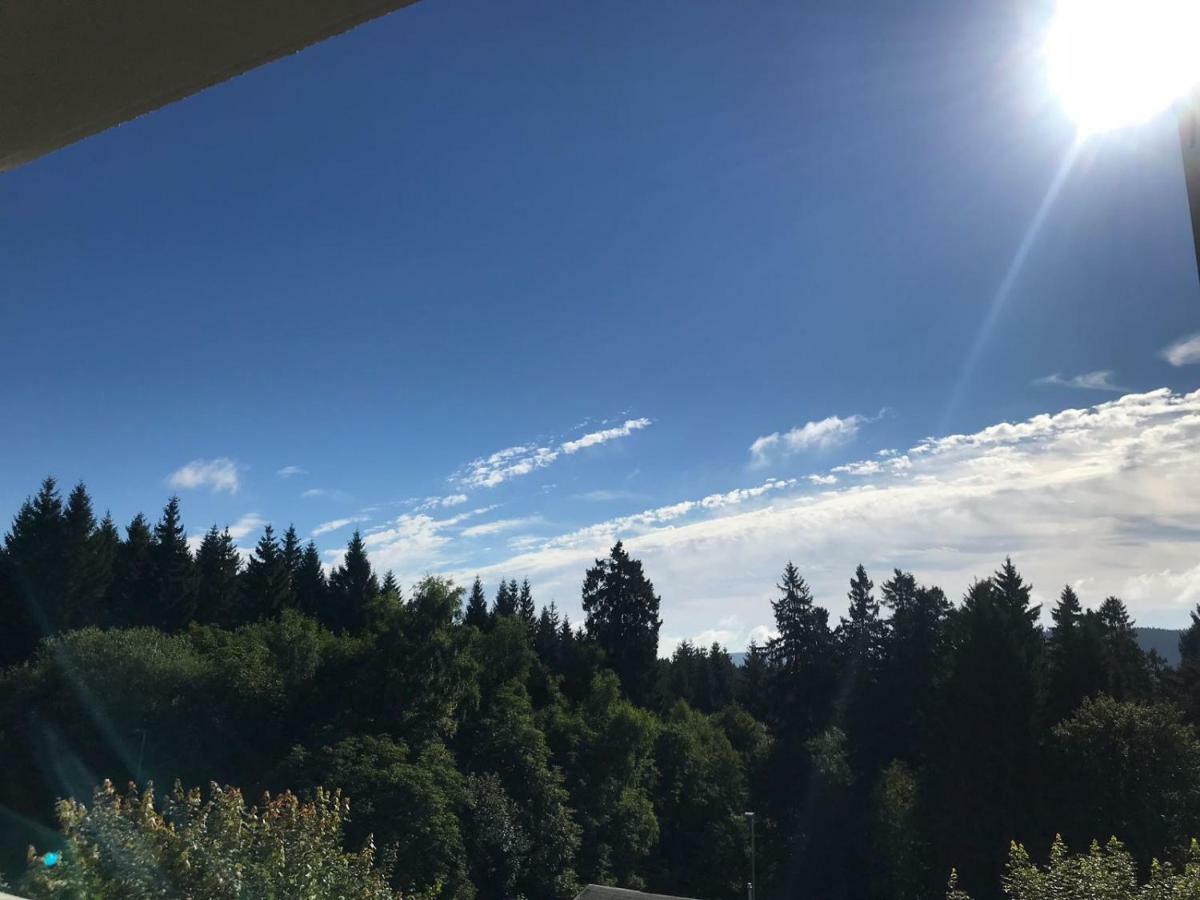 Hahnenklee Ferienpark 1-411 Goslar Exteriör bild
