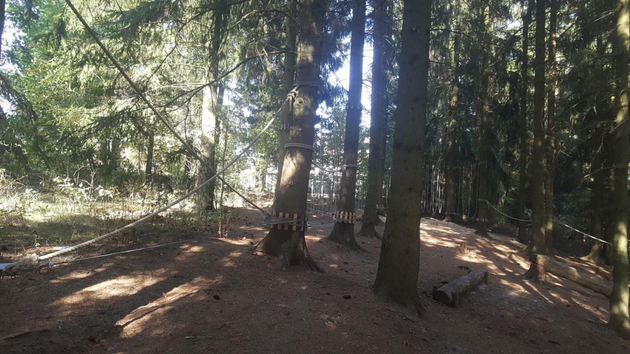 Hahnenklee Ferienpark 1-411 Goslar Exteriör bild