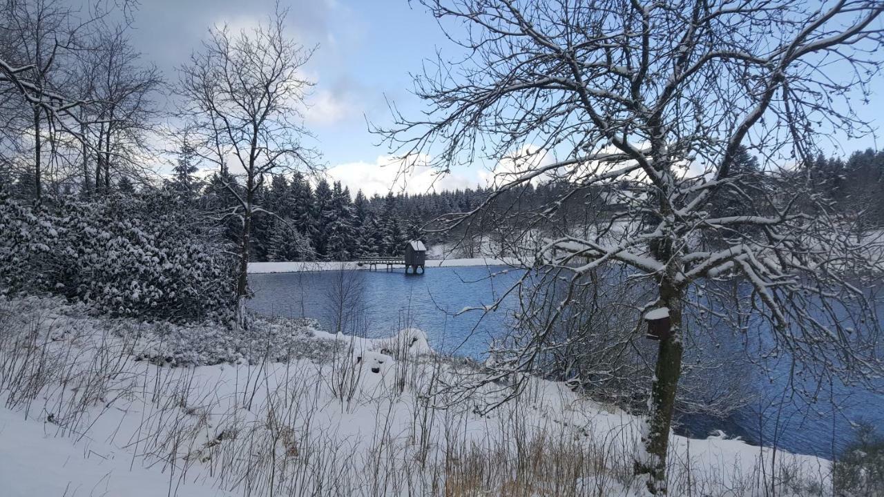 Hahnenklee Ferienpark 1-411 Goslar Exteriör bild